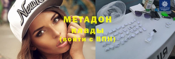 шишки Арсеньев