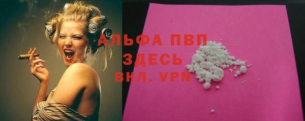 шишки Арсеньев
