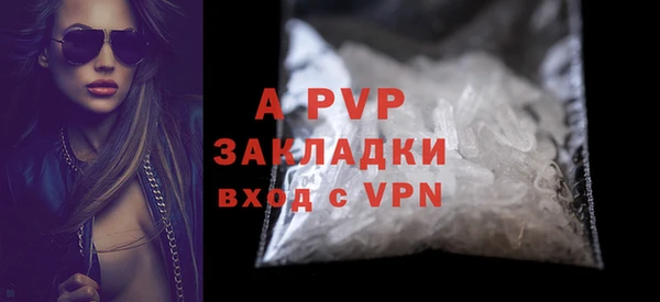 шишки Арсеньев