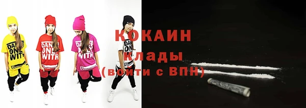 шишки Арсеньев