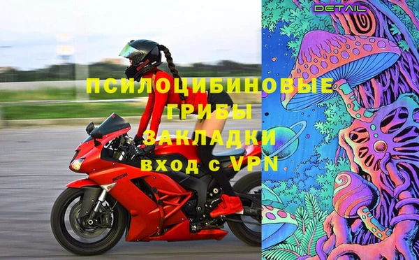 шишки Арсеньев