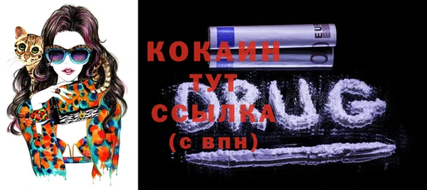 шишки Арсеньев