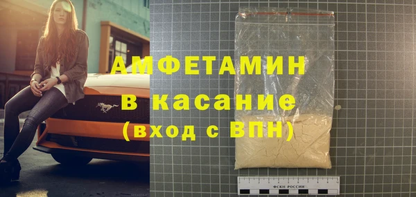 шишки Арсеньев
