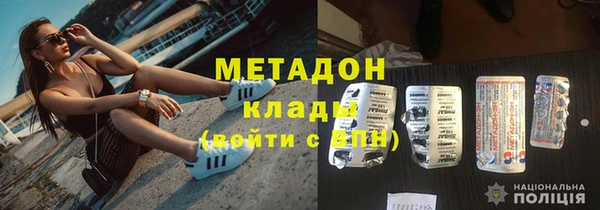шишки Арсеньев